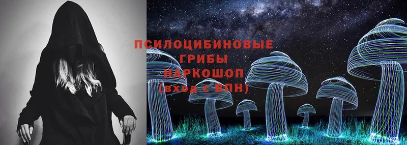 Галлюциногенные грибы Psilocybe  Советская Гавань 